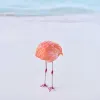 Innovators Beyond Silicon Valley, Second Contact AI, and a Surreal Flamingo